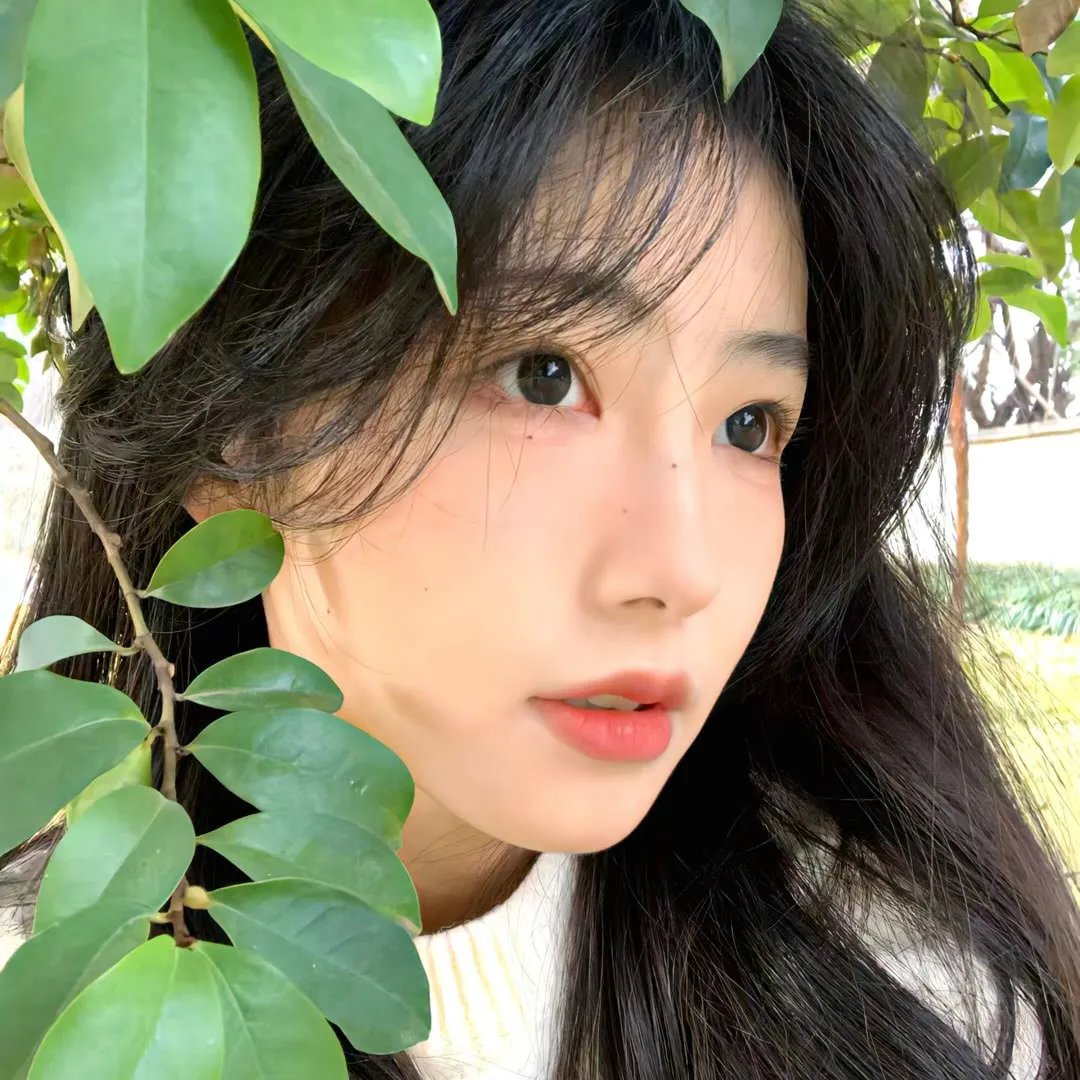 新片速递